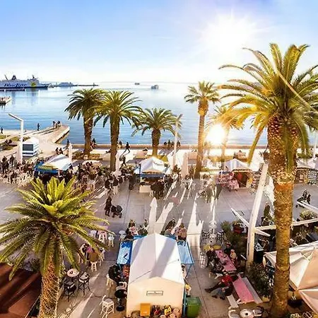 Relaxing Carpe Diem Split