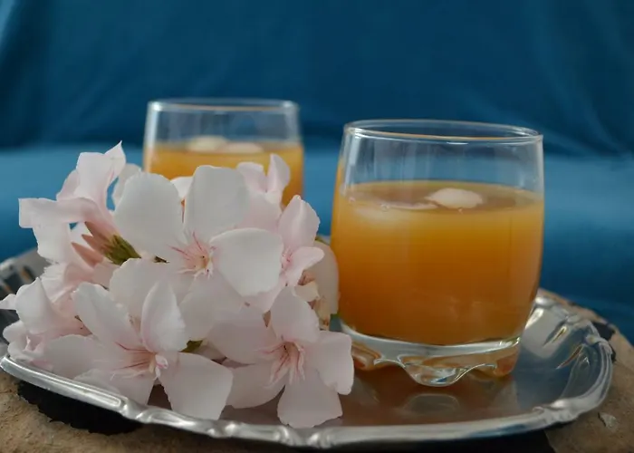 Apartment Relaxing Carpe Diem *